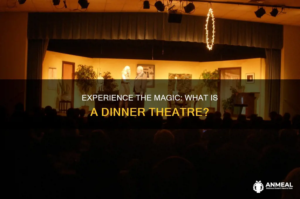 what is a dinner theatre
