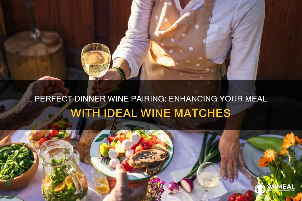 what is a dinner wine pairing