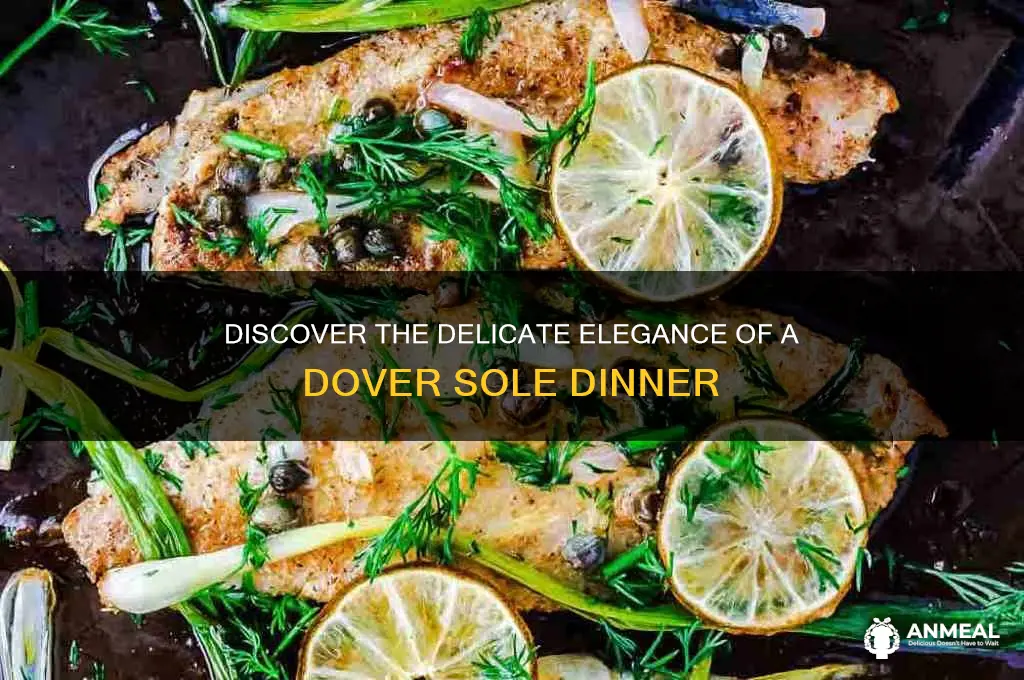what is a dover sole dinner