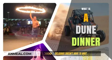 Exploring the Enchanting Experience of a Dune Dinner Adventure