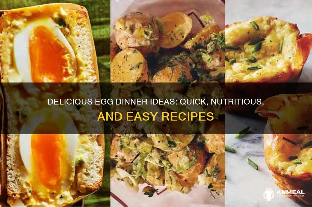 what is a egg dinner