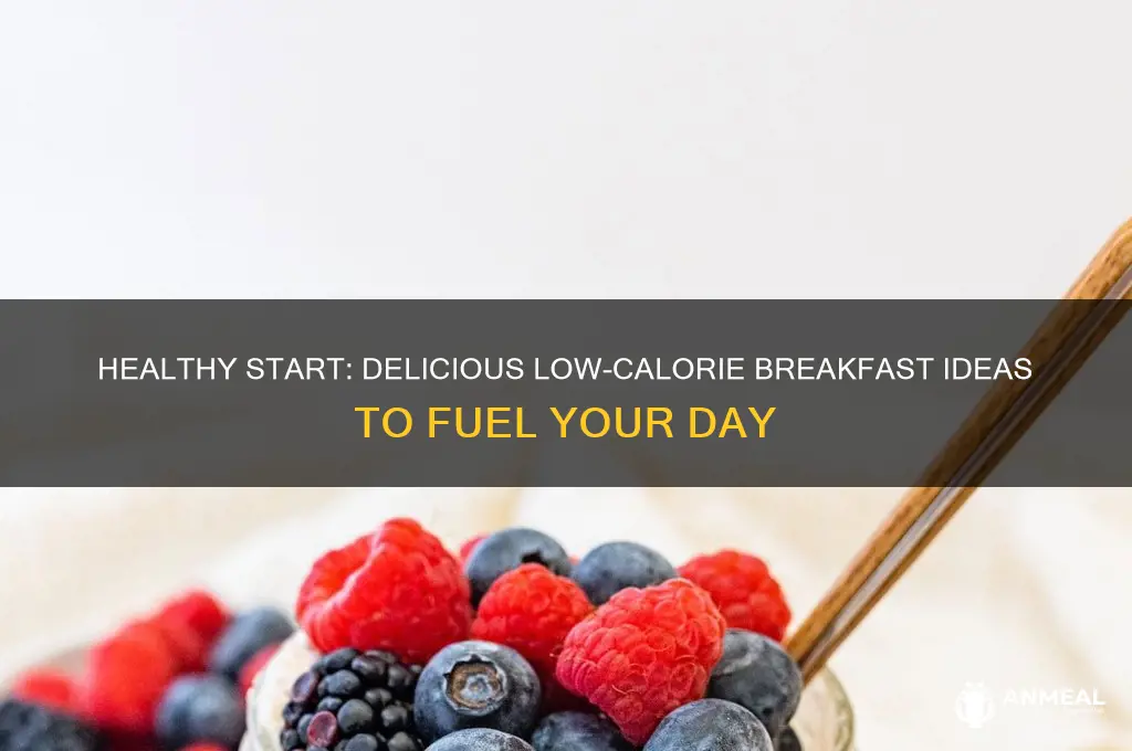 what is a filling low calorie breakfast