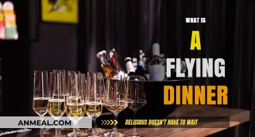 Exploring the Unique Concept of a Flying Dinner Experience