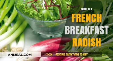 Discover the Delicate Flavor of French Breakfast Radishes