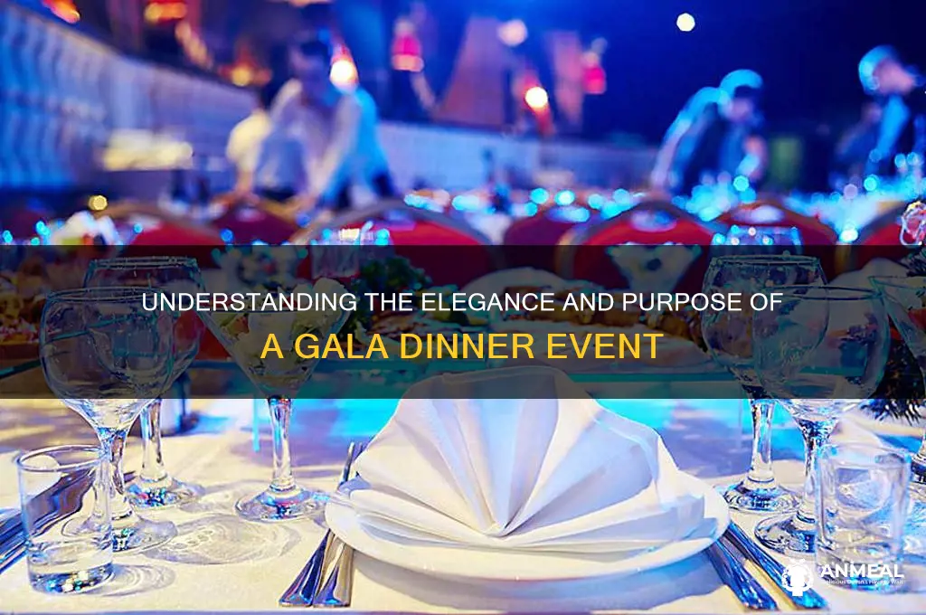 what is a gala dinner event