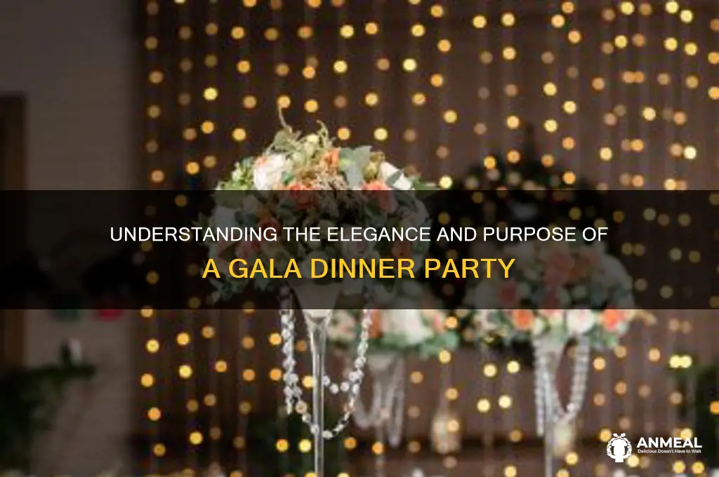 what is a gala dinner party