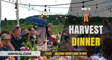 Celebrating the Season: Understanding the Tradition of a Harvest Dinner