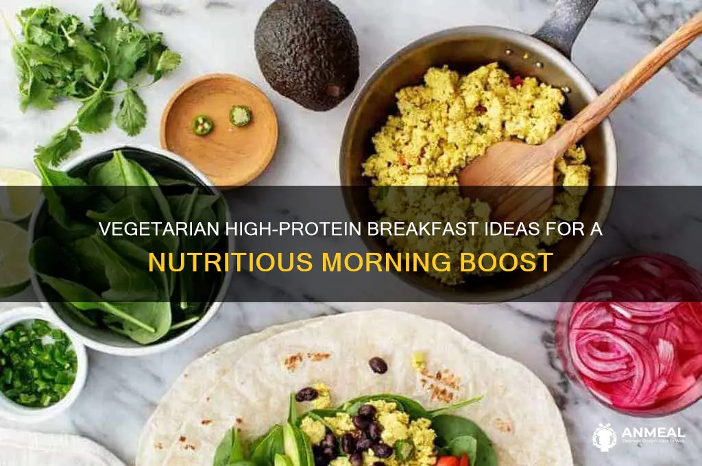 what is a high protein breakfast for vegetarians