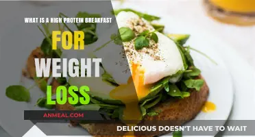 Fuel Your Weight Loss Journey: High-Protein Breakfast Ideas Revealed