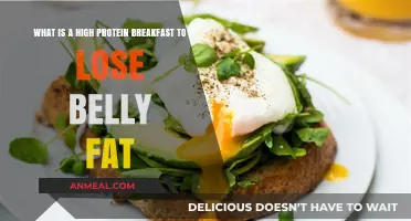 High-Protein Breakfast Ideas to Burn Belly Fat and Boost Energy