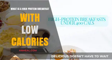 Healthy High-Protein, Low-Calorie Breakfast Ideas to Kickstart Your Day