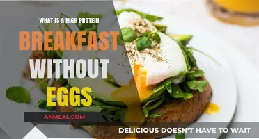 Protein-Packed Breakfast Ideas: Egg-Free Options to Start Your Day Right