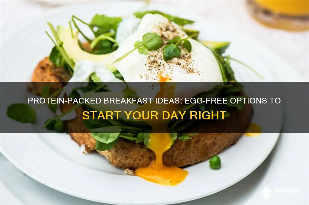 what is a high protein breakfast without eggs