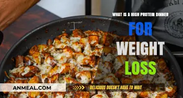 High Protein Dinner Ideas for Effective Weight Loss Strategies