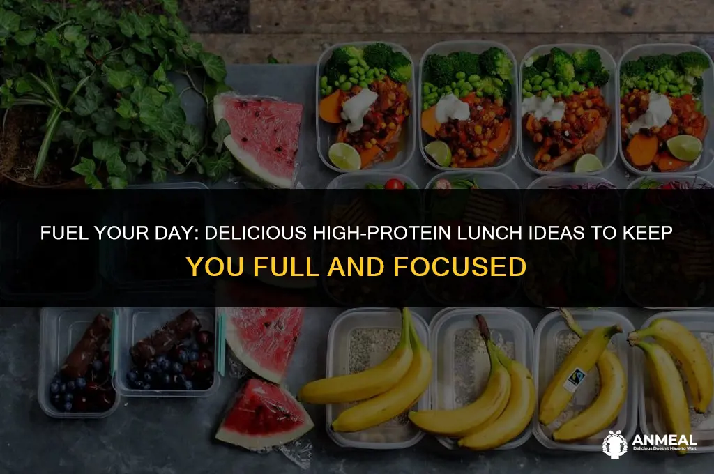 what is a high protein lunch