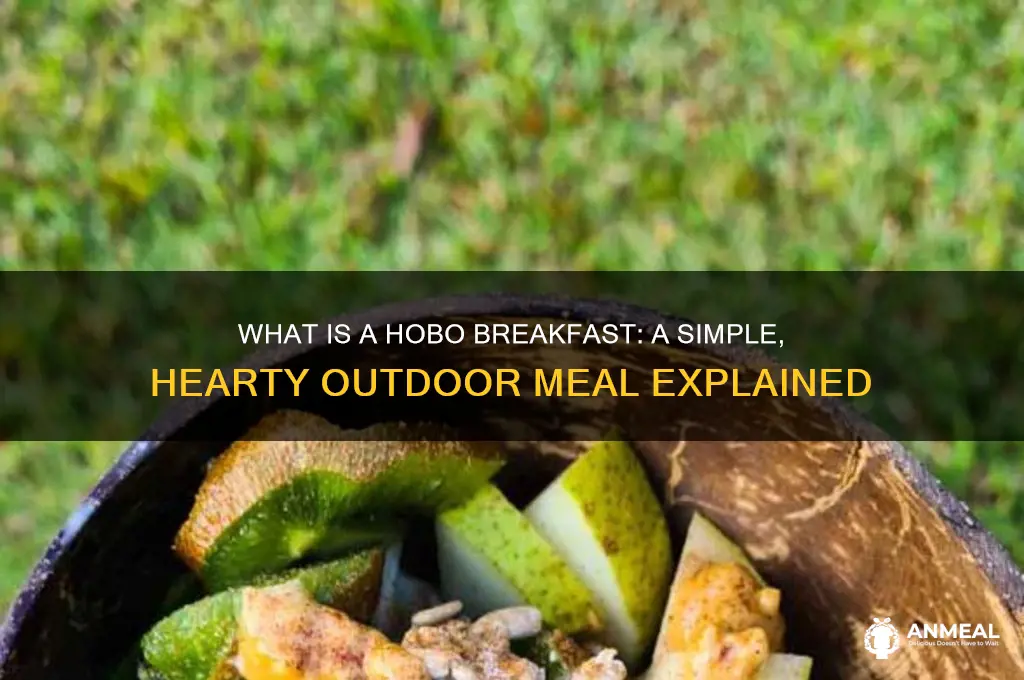 what is a hobo breakfast