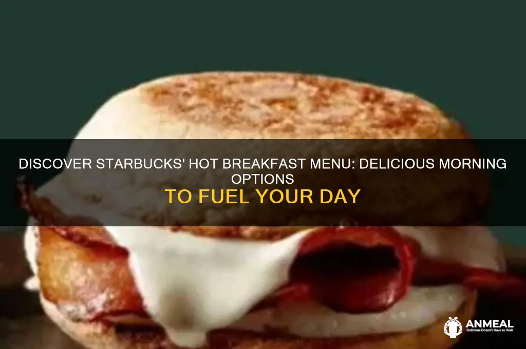 what is a hot breakfast at starbucks