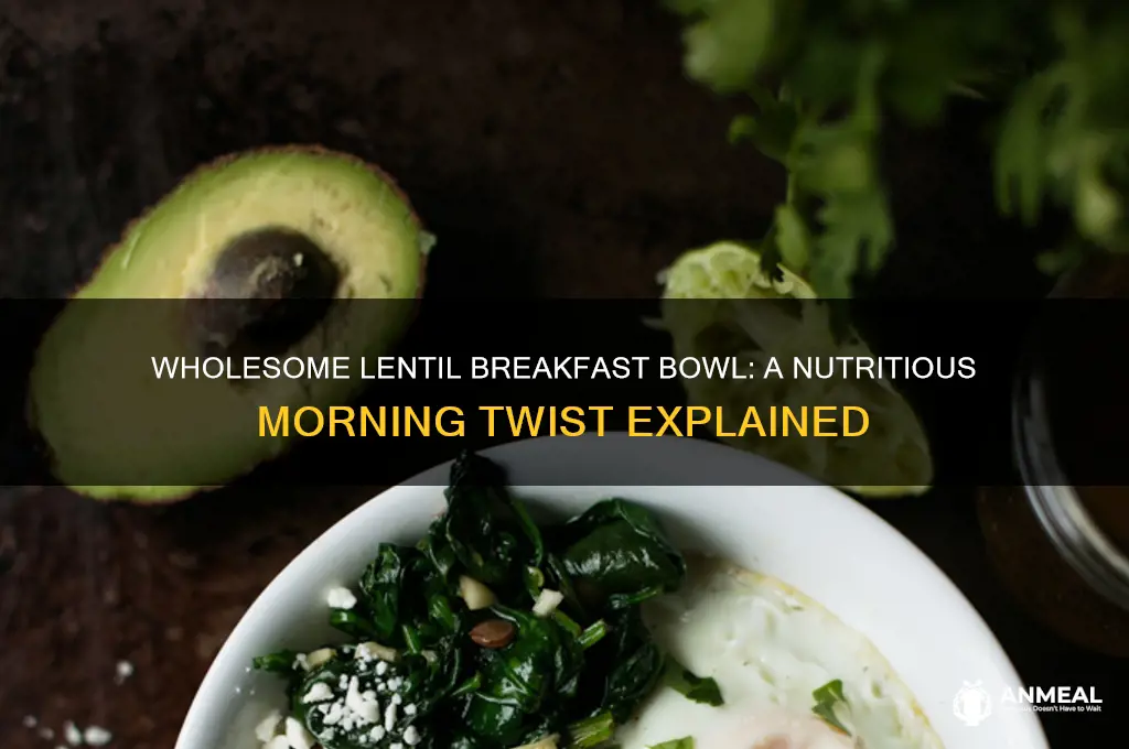 what is a lentil breakfast bowl