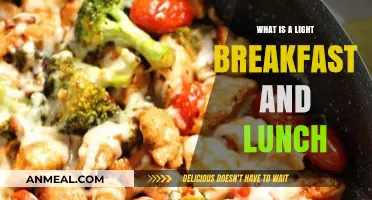 Light Breakfast and Lunch Ideas for Healthy, Energizing Meals