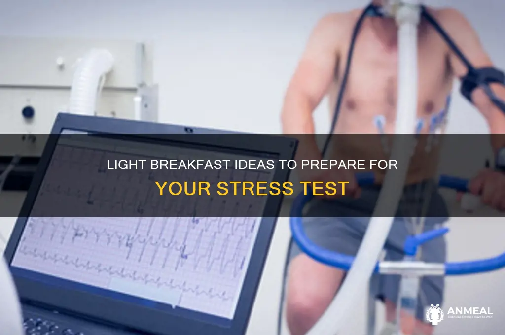 what is a light breakfast before a stress test