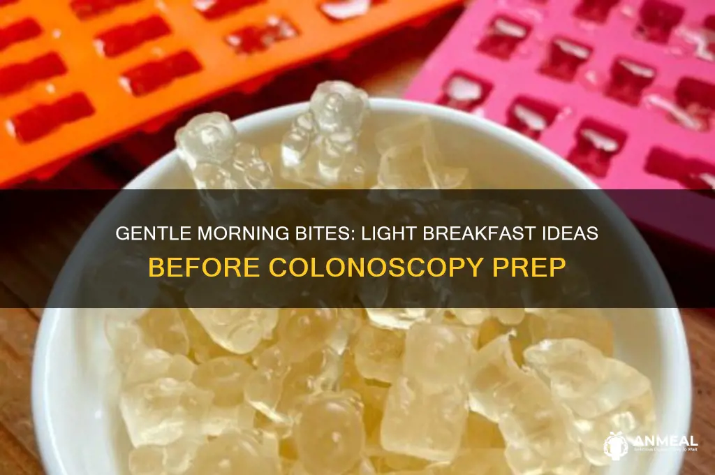 what is a light breakfast before colonoscopy prep