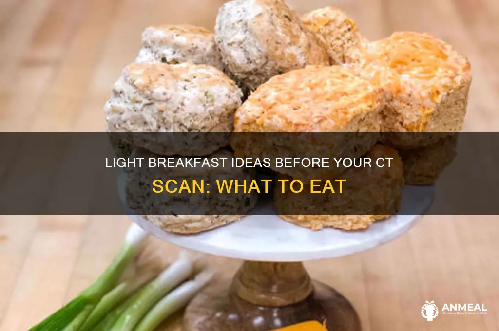 what is a light breakfast before ct scan