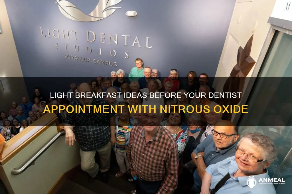 what is a light breakfast before dentist nitrous