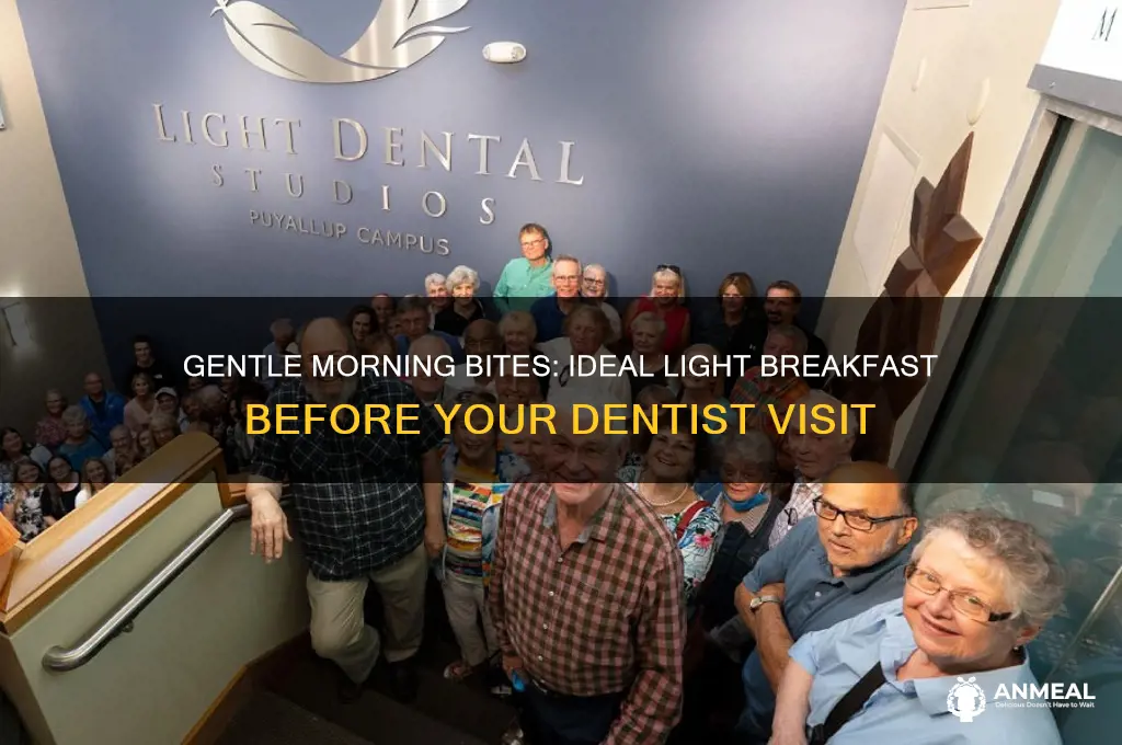what is a light breakfast before dentist