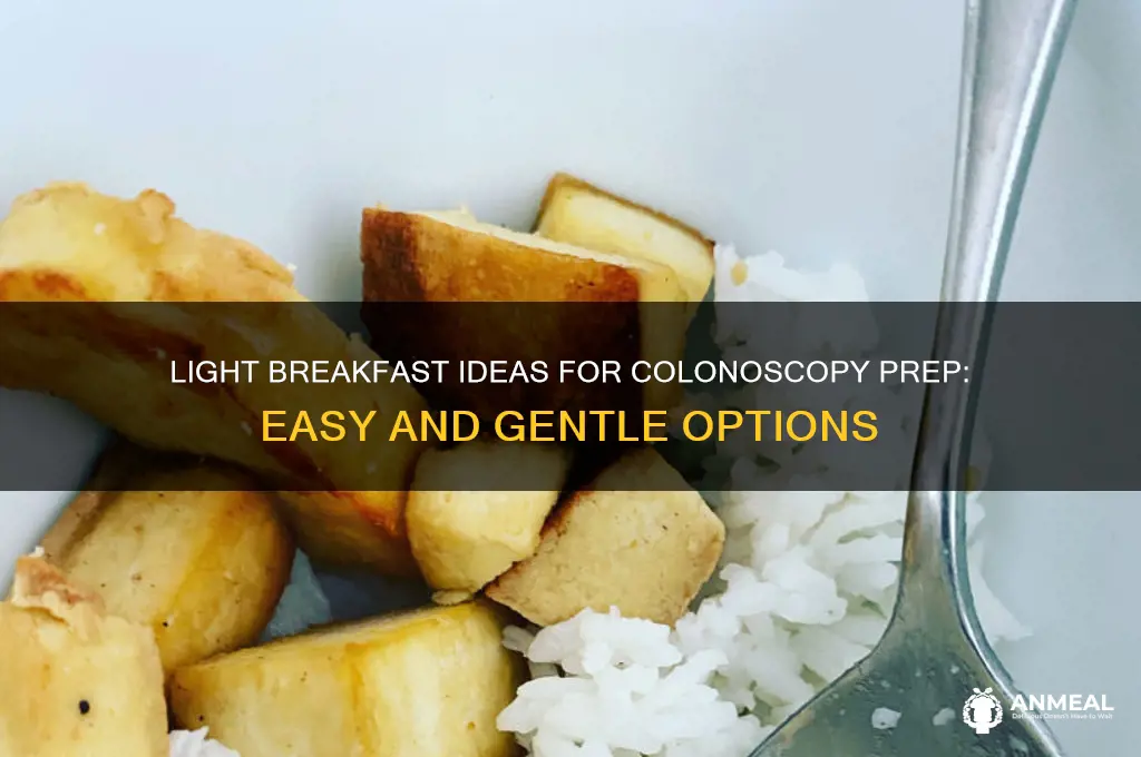 what is a light breakfast for colonoscopy