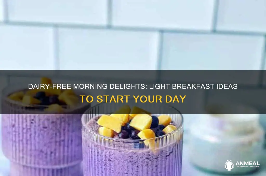what is a light breakfast without dairy
