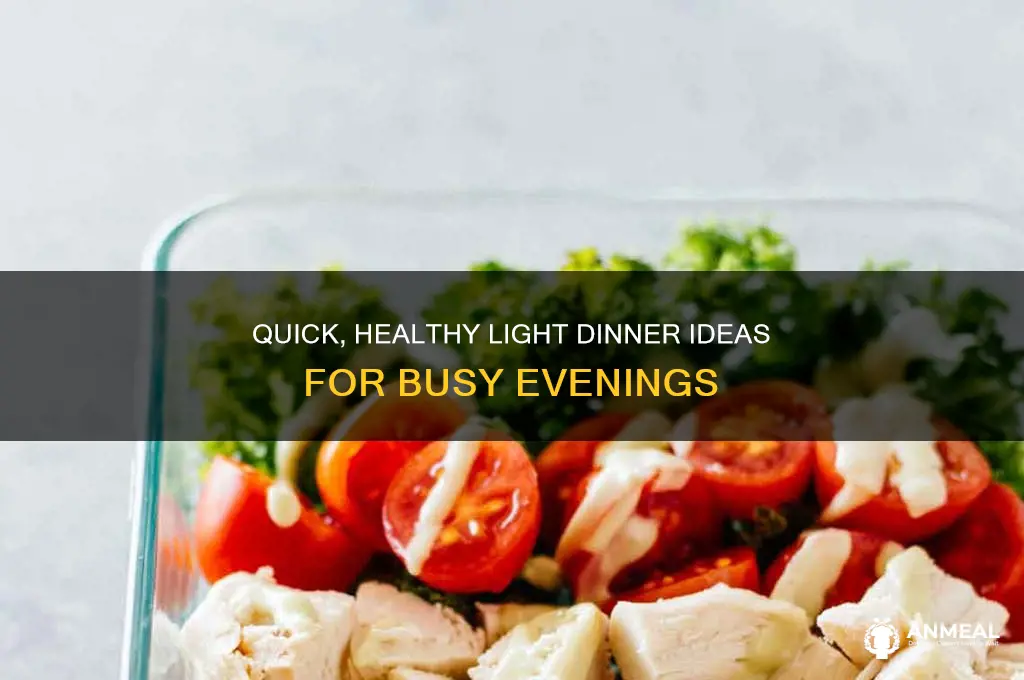 what is a light dinner idea