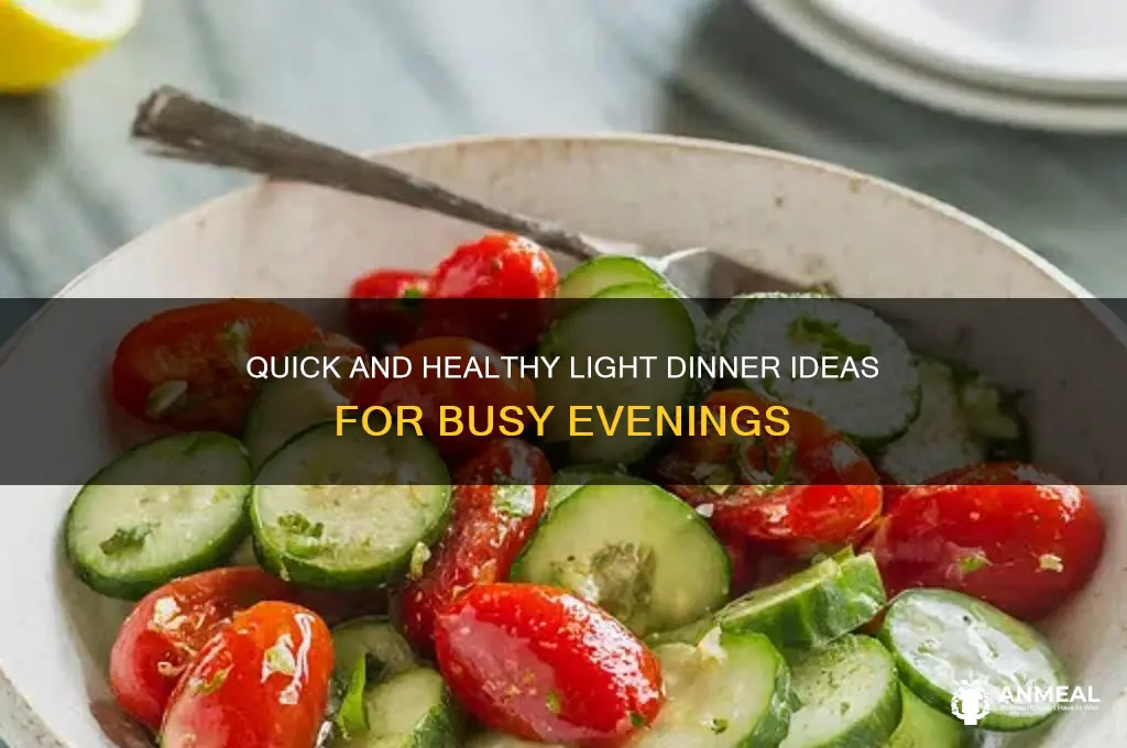 what is a light meal for dinner