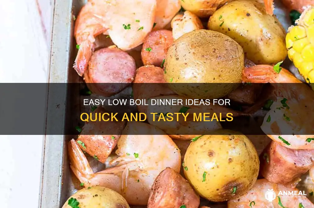 what is a low boil dinner