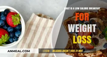Healthy Low-Calorie Breakfast Ideas to Fuel Weight Loss Goals