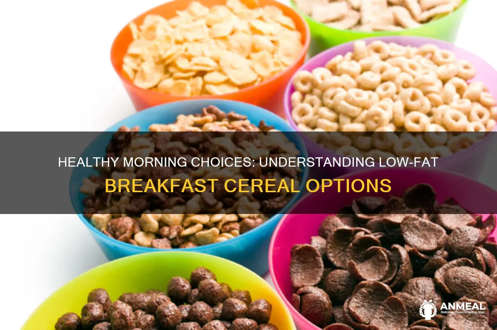 what is a low fat breakfast cereal