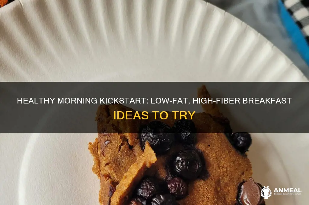 what is a low fat high fiber breakfast
