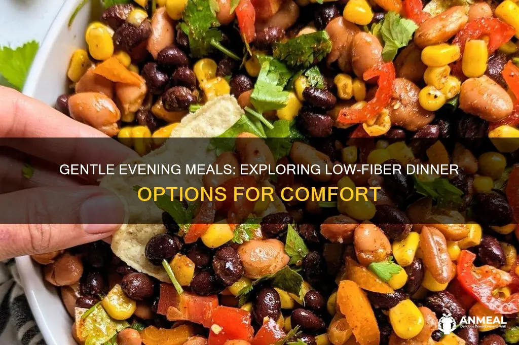 what is a low fiber dinner