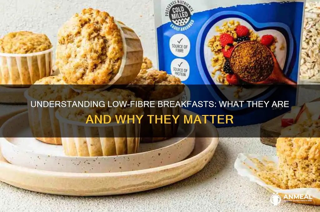 what is a low fibre breakfast