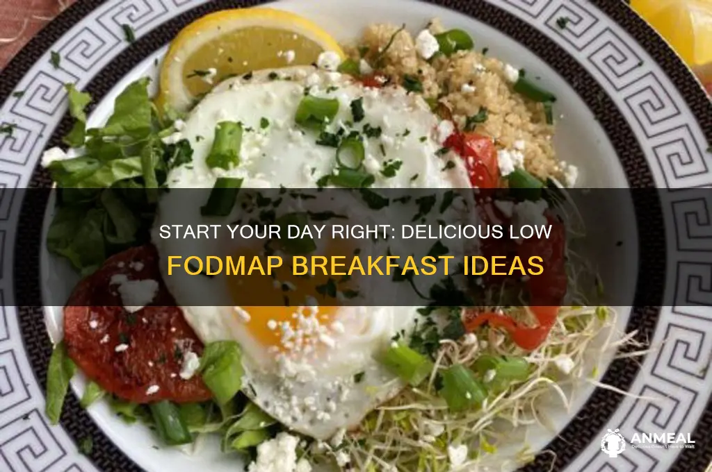 what is a low fodmap breakfast