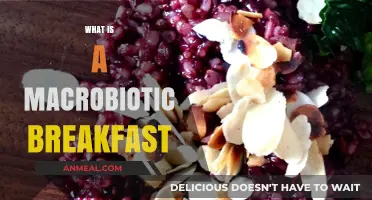 Nourishing Macrobiotic Breakfast Ideas for Balanced Energy and Wellness