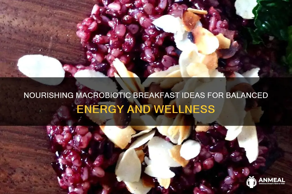 what is a macrobiotic breakfast