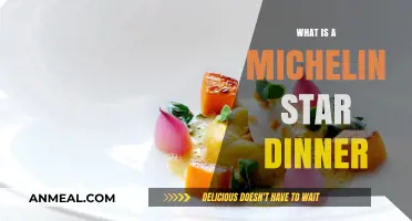 Exploring the Culinary Excellence of a Michelin Star Dinner