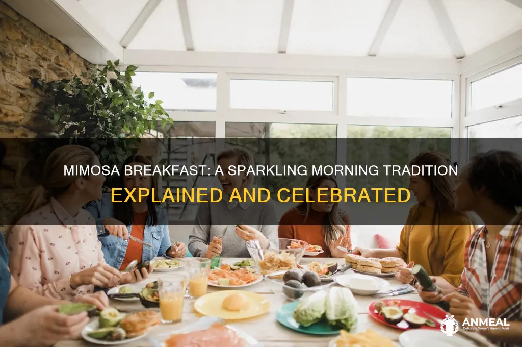 what is a mimosa breakfast