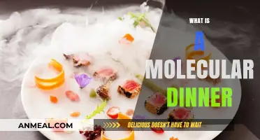 Exploring Molecular Gastronomy: The Art and Science of Molecular Dinners