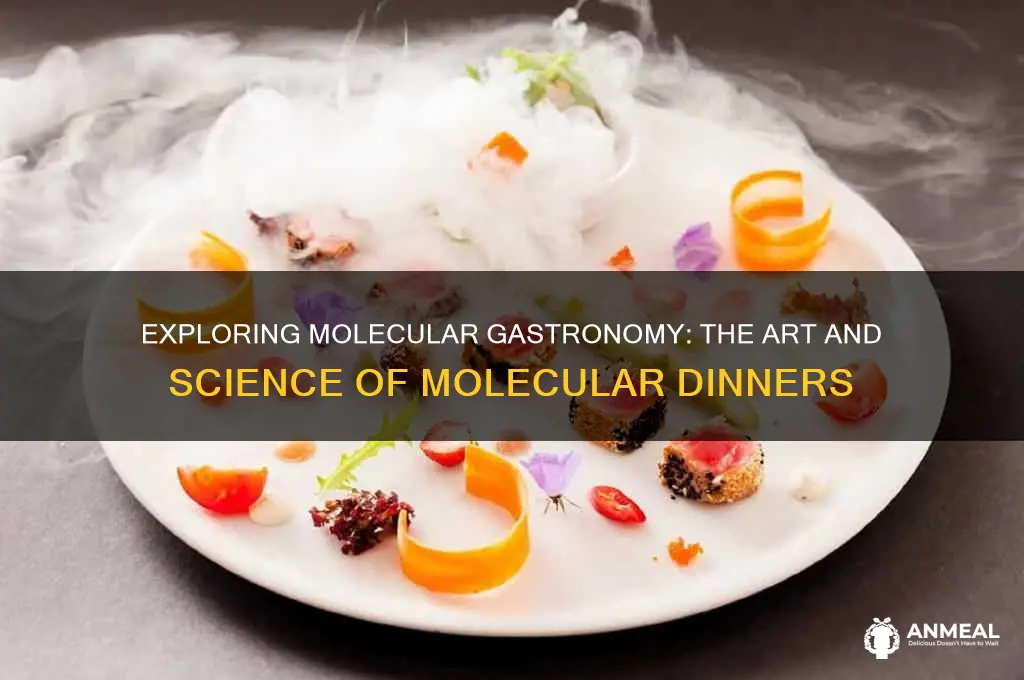 what is a molecular dinner