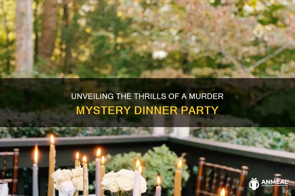 what is a murder mystery dinner party