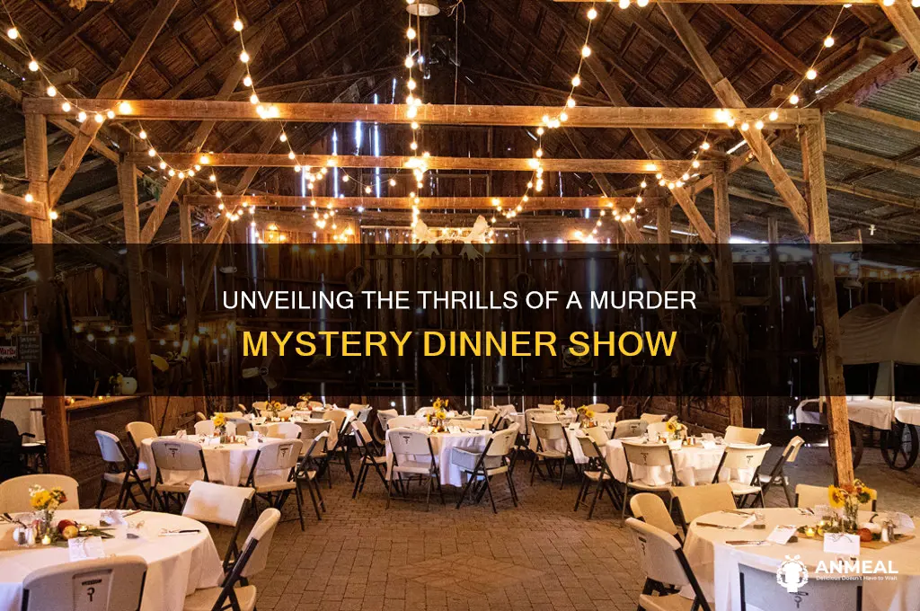 what is a murder mystery dinner show