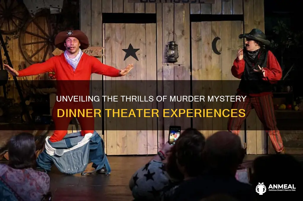 what is a murder mystery dinner theater