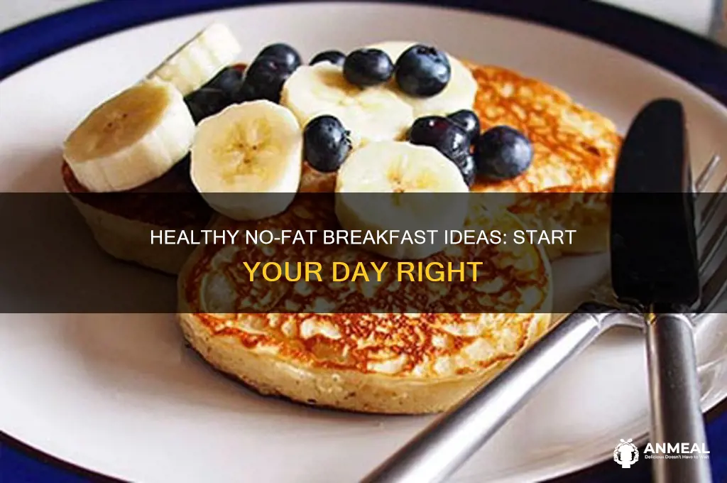 what is a no fat breakfast