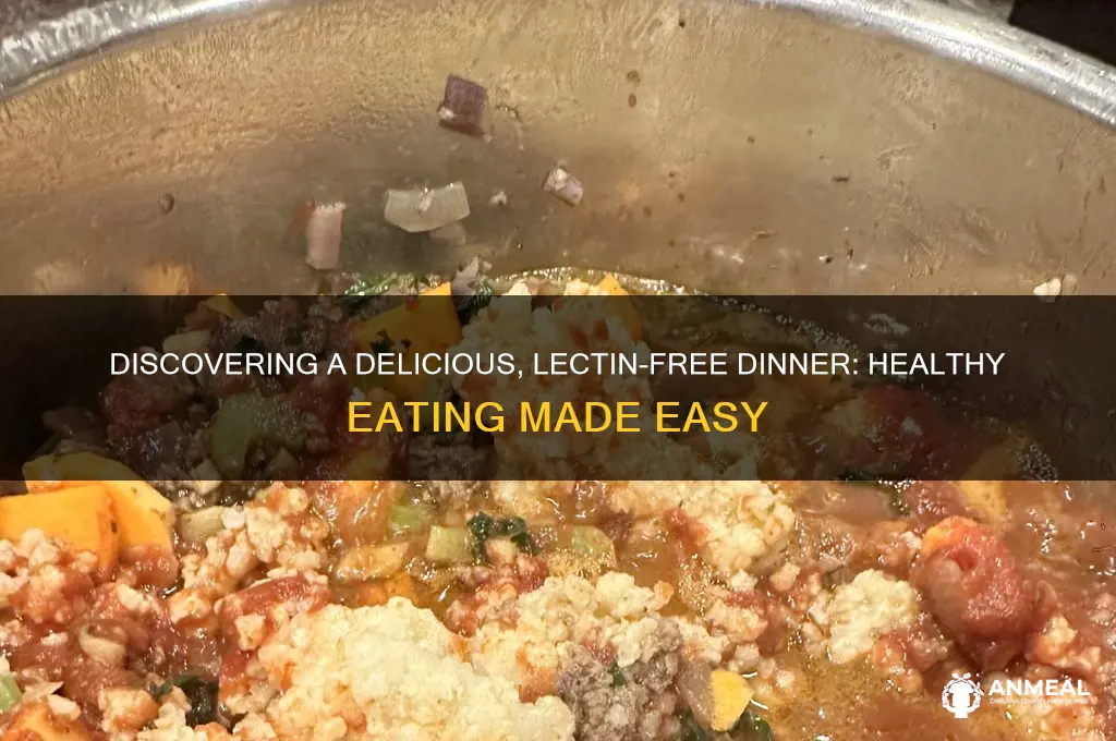 what is a non lectin dinner